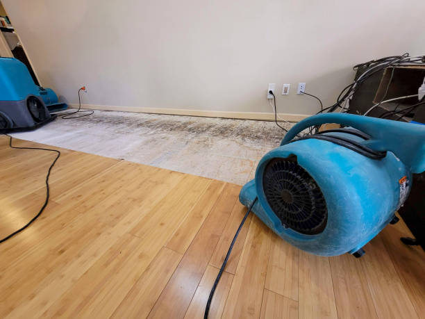 Professional Sewage Cleanup technician working in Spring Grove, IL